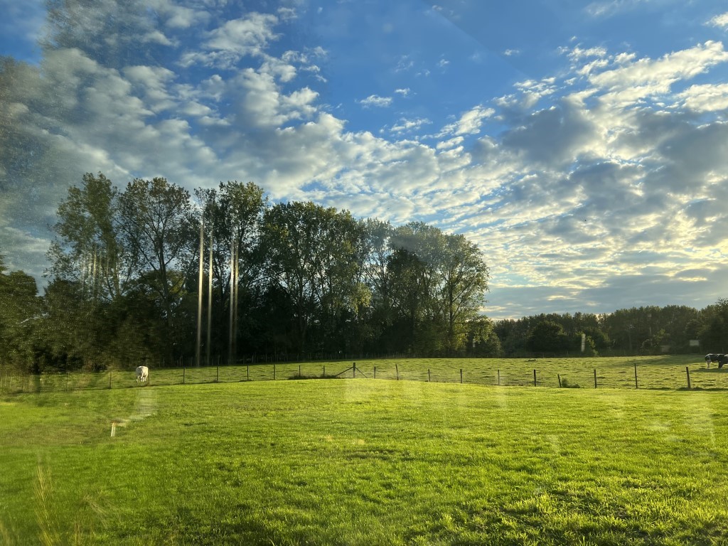 scratchingmymap 2022, uitzicht