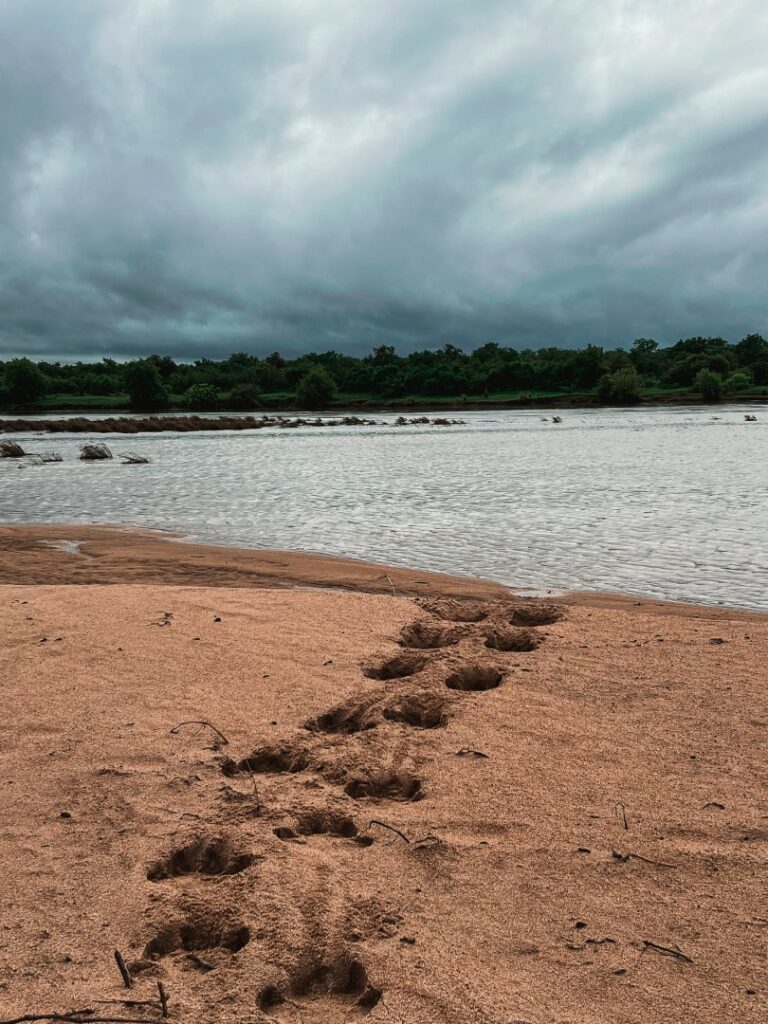 Zuid Afrika, Kruger, Kruger Rest Camp, Bush walk