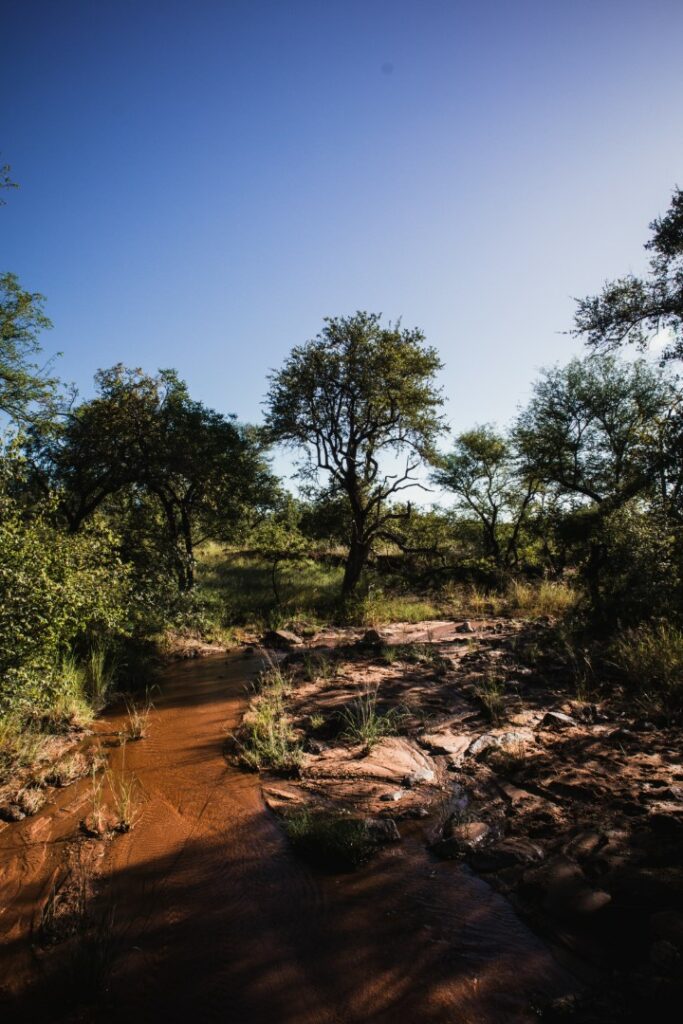 roadtrip zuid-afrika, private game reserve, rukiya, rukiya safari camp