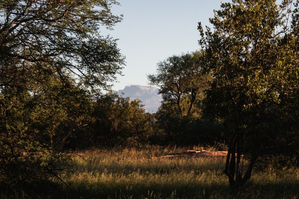 roadtrip zuid-afrika, private game reserve, rukiya, rukiya safari camp