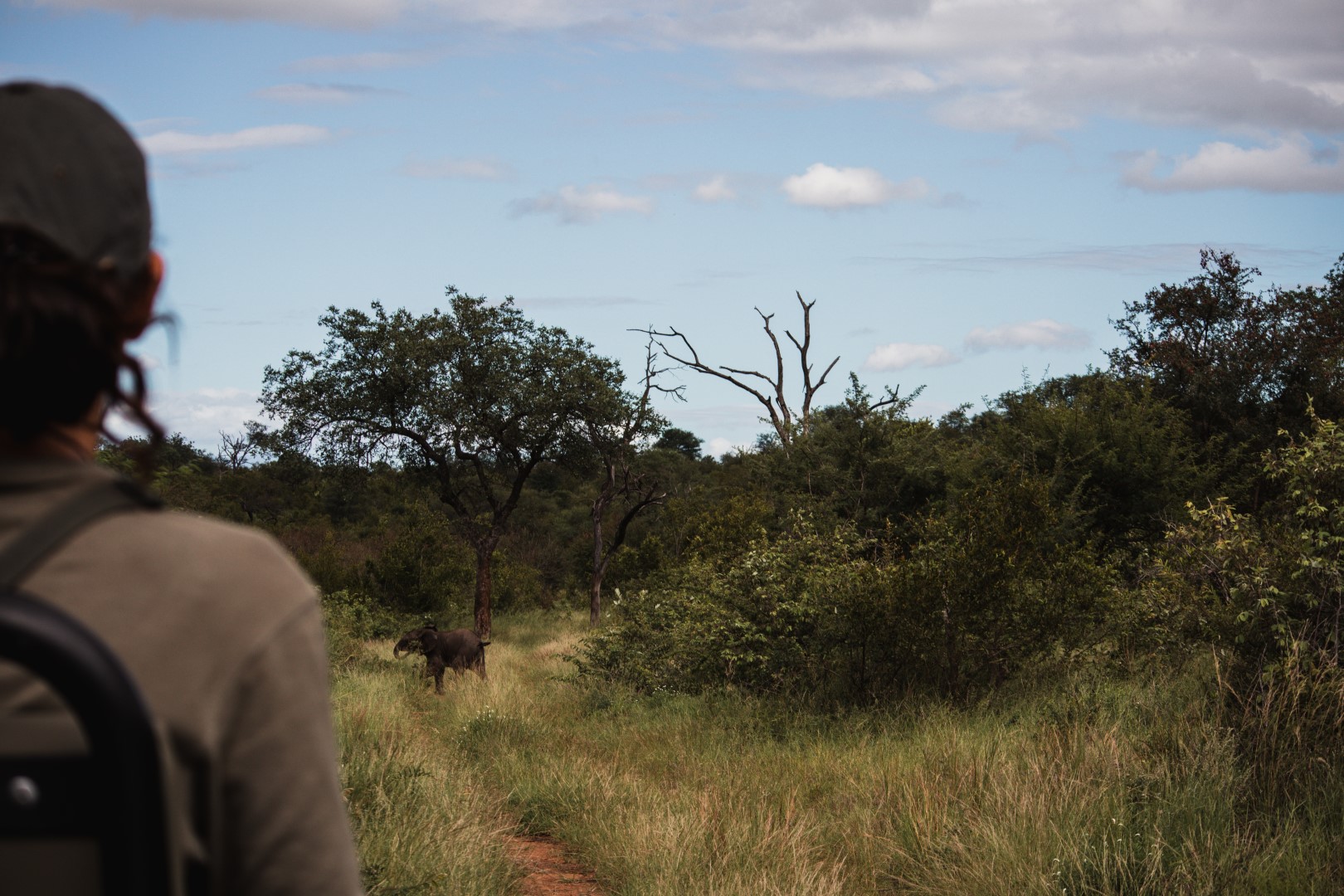 roadtrip zuid-afrika, private game reserve, rukiya, rukiya safari camp, game drive, olifant, ranger