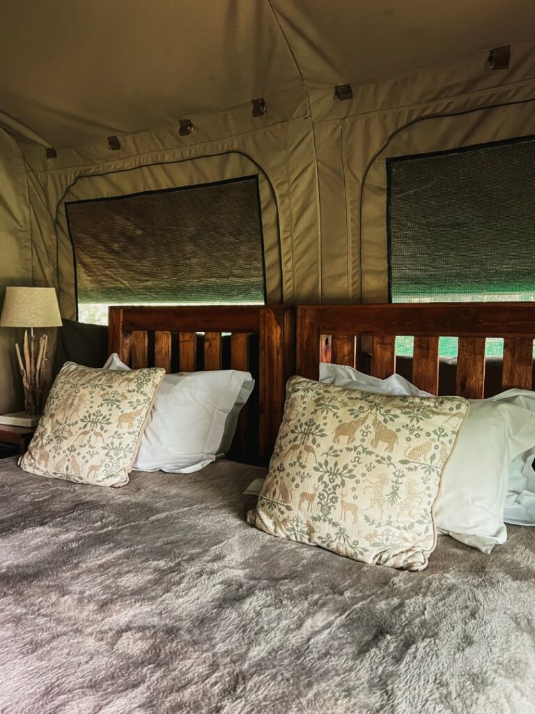 roadtrip zuid-afrika, private game reserve, rukiya, rukiya safari camp