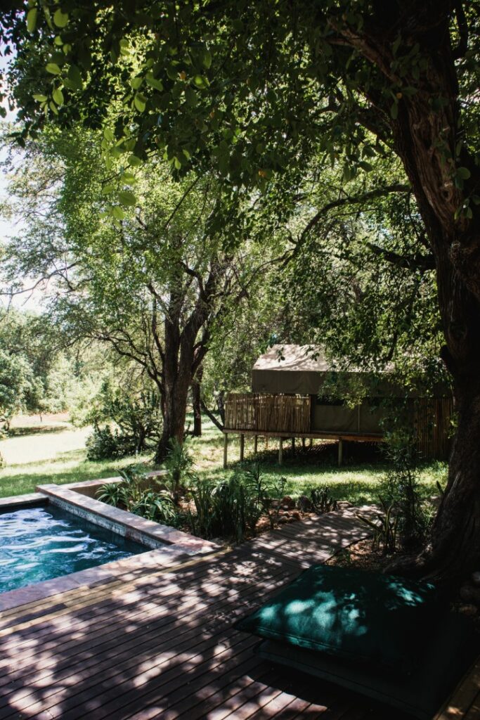 roadtrip zuid-afrika, private game reserve, rukiya, rukiya safari camp