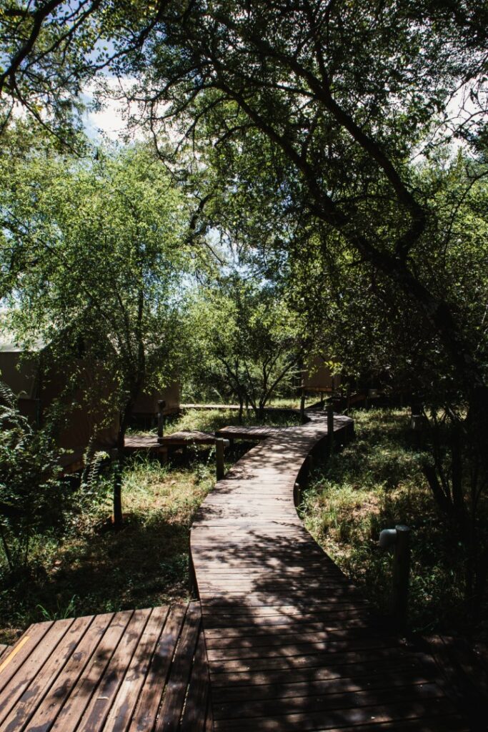 roadtrip zuid-afrika, private game reserve, rukiya, rukiya safari camp