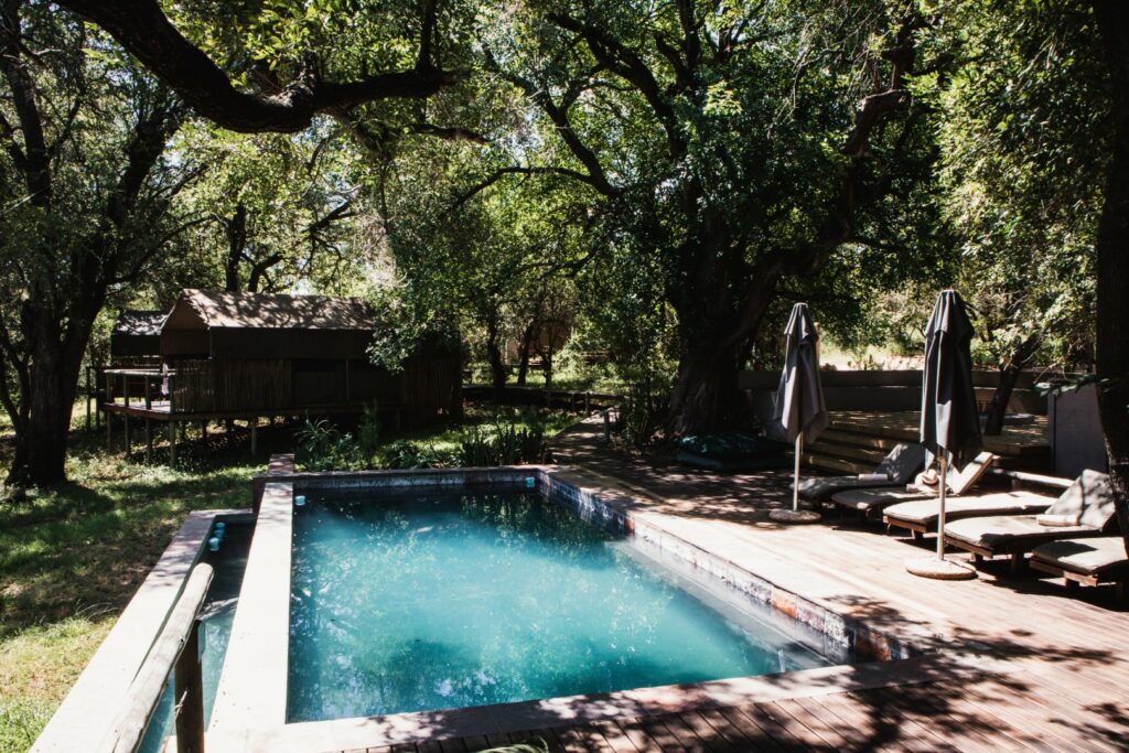 roadtrip zuid-afrika, private game reserve, rukiya, rukiya safari camp