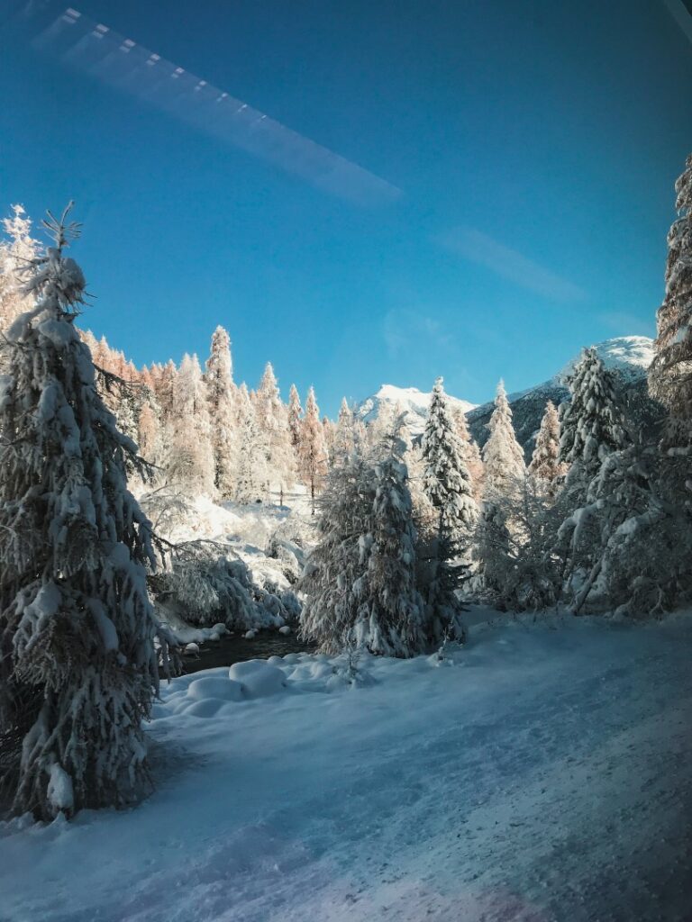 Bernina Express, Zwitserland winter, Bernina Express november, sneeuw