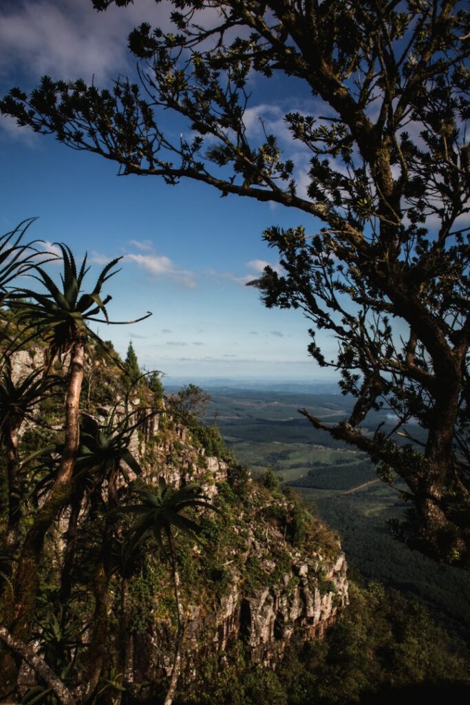 zuid-afrika panoramaroute, graskop, gods window