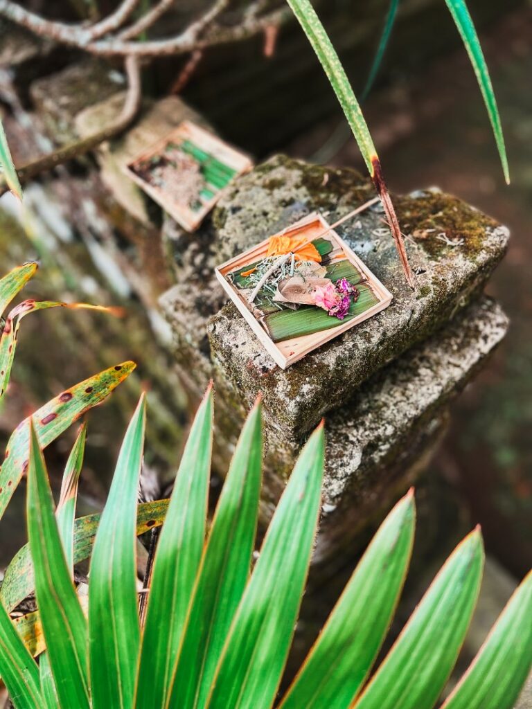 Bali offering, bali kampung home