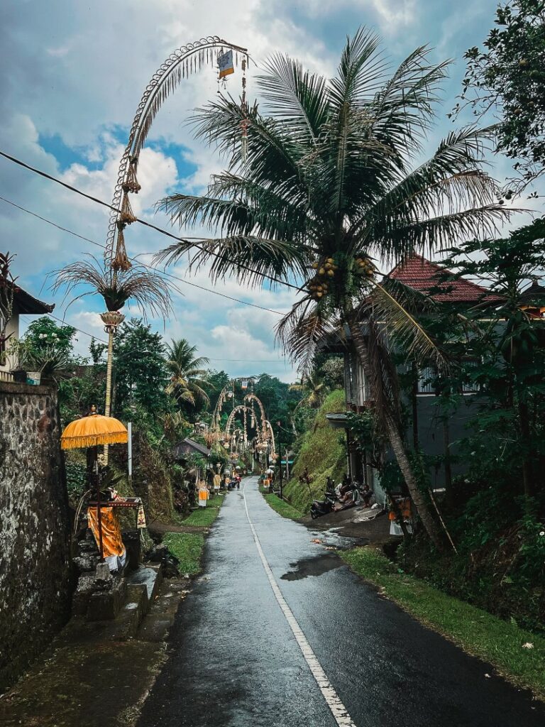 Ubud fietstocht, Ubud Bali Breeze fietstocht, bali dorpjes