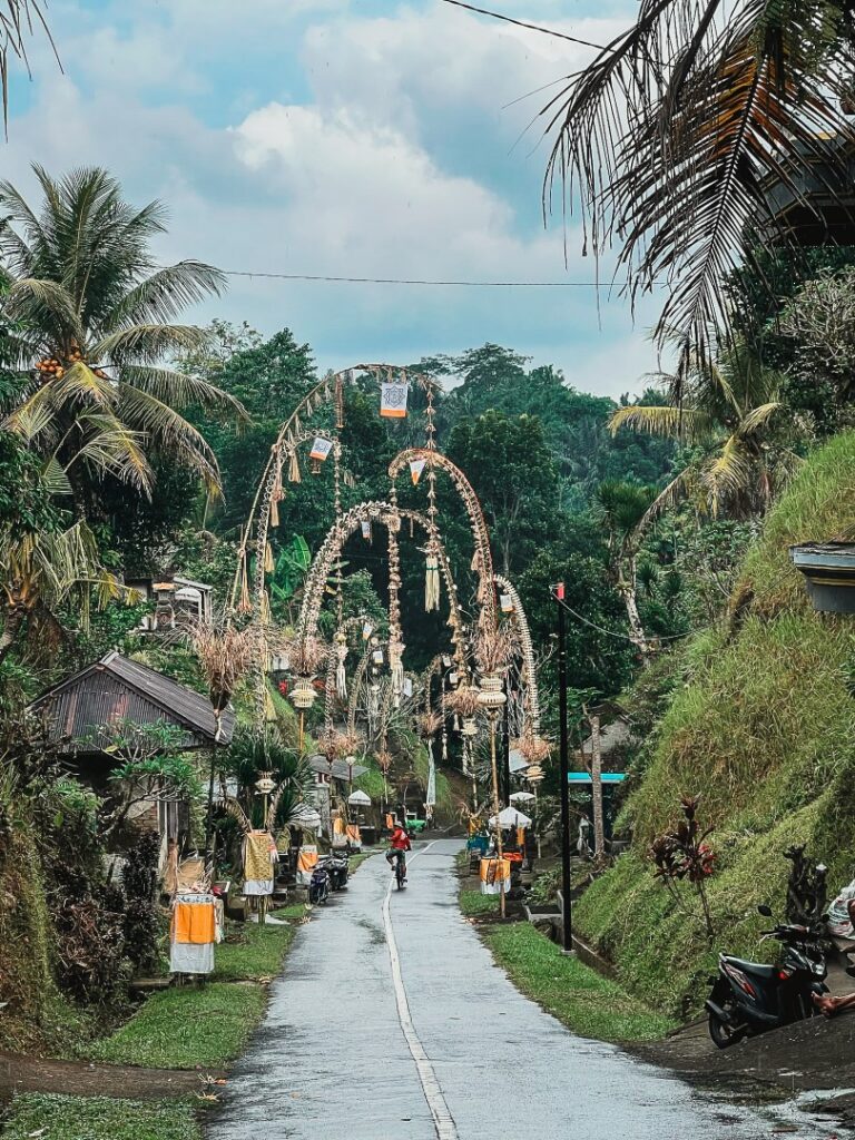 Ubud fietstocht, Ubud Bali Breeze fietstocht, bali dorpjes