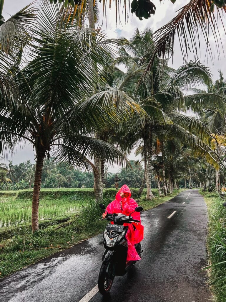 Ubud fietstocht, Ubud Bali Breeze fietstocht, bali dorpjes