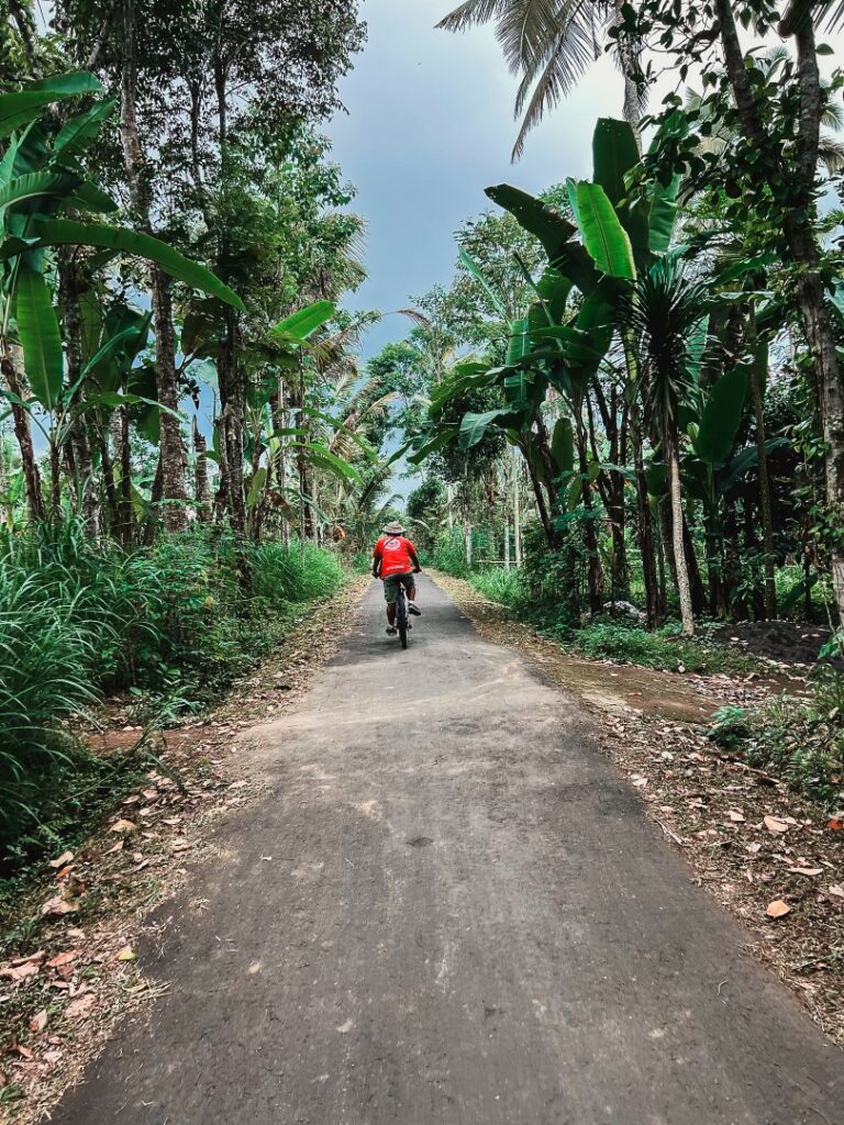 Ubud fietstocht, Ubud Bali Breeze fietstocht, bali natuur
