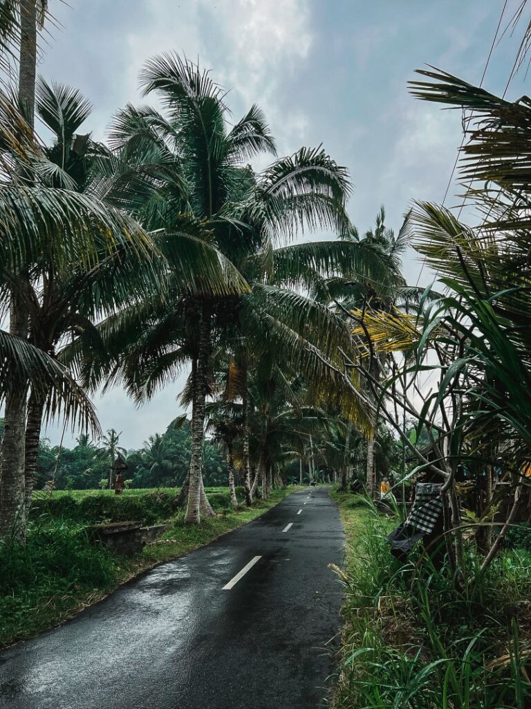 Ubud fietstocht, Ubud Bali Breeze fietstocht, bali natuur