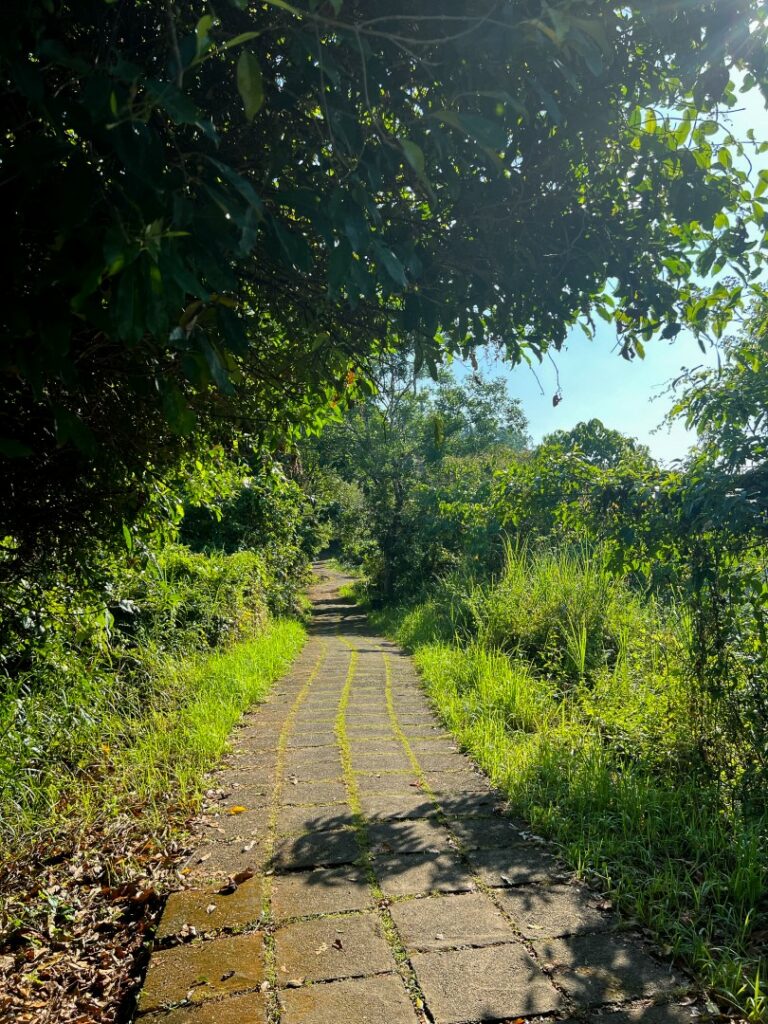 ubud campuhan ridge walk, ubud campuhan, ubud wandeling