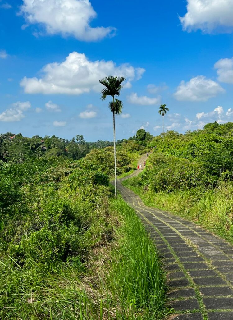 Ubud: Campuhan Ridge Walk