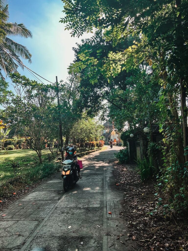 ubud campuhan ridge walk, ubud campuhan, ubud wandeling, ubud campuhan ridge walk einde