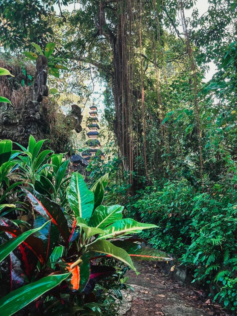 ubud campuhan ridge walk, ubud campuhan, ubud wandeling, ubud campuhan ridge walk start