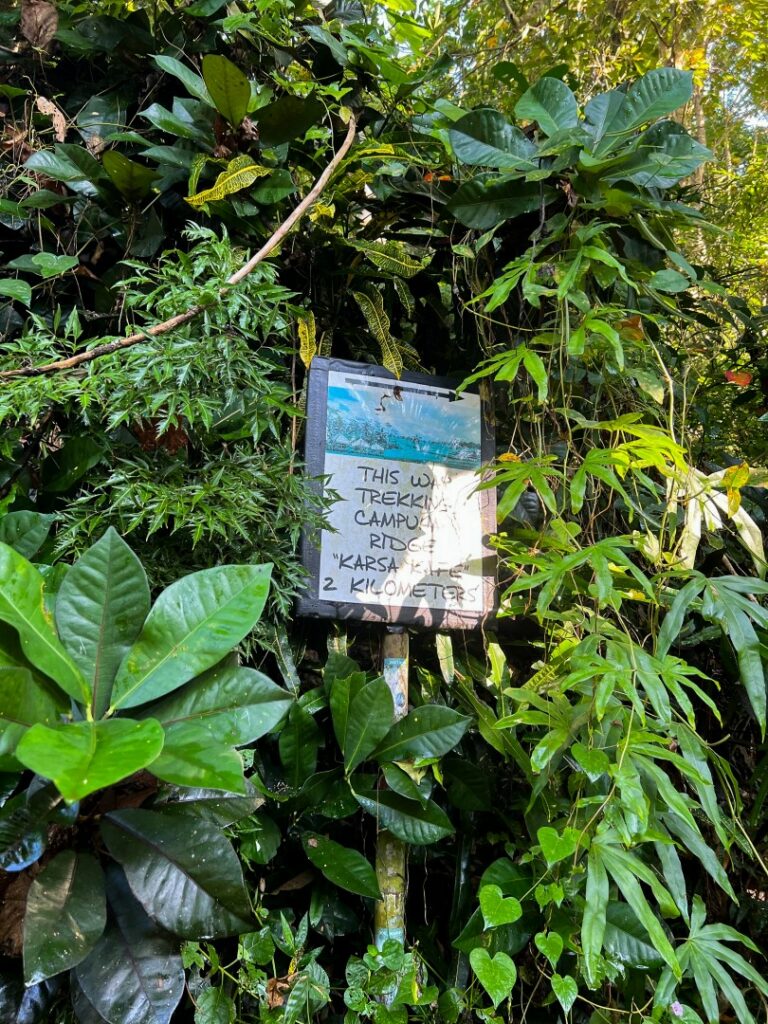 ubud campuhan ridge walk, ubud campuhan, ubud wandeling, ubud campuhan ridge walk start