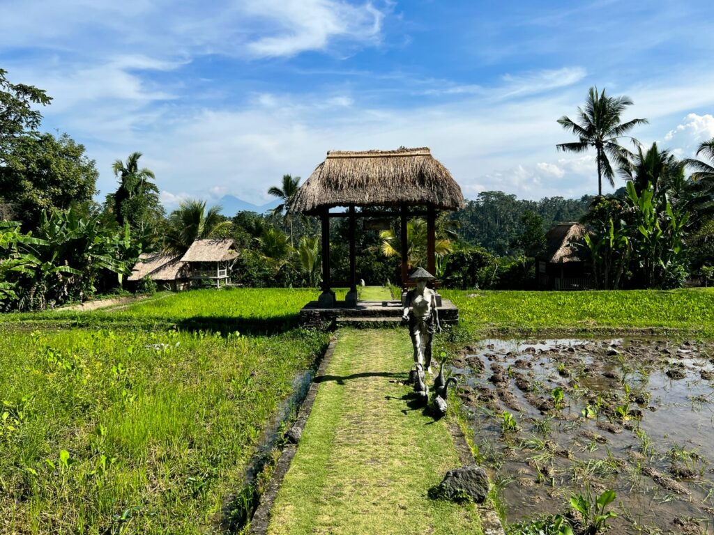 Bali koffie, Ubud koffie