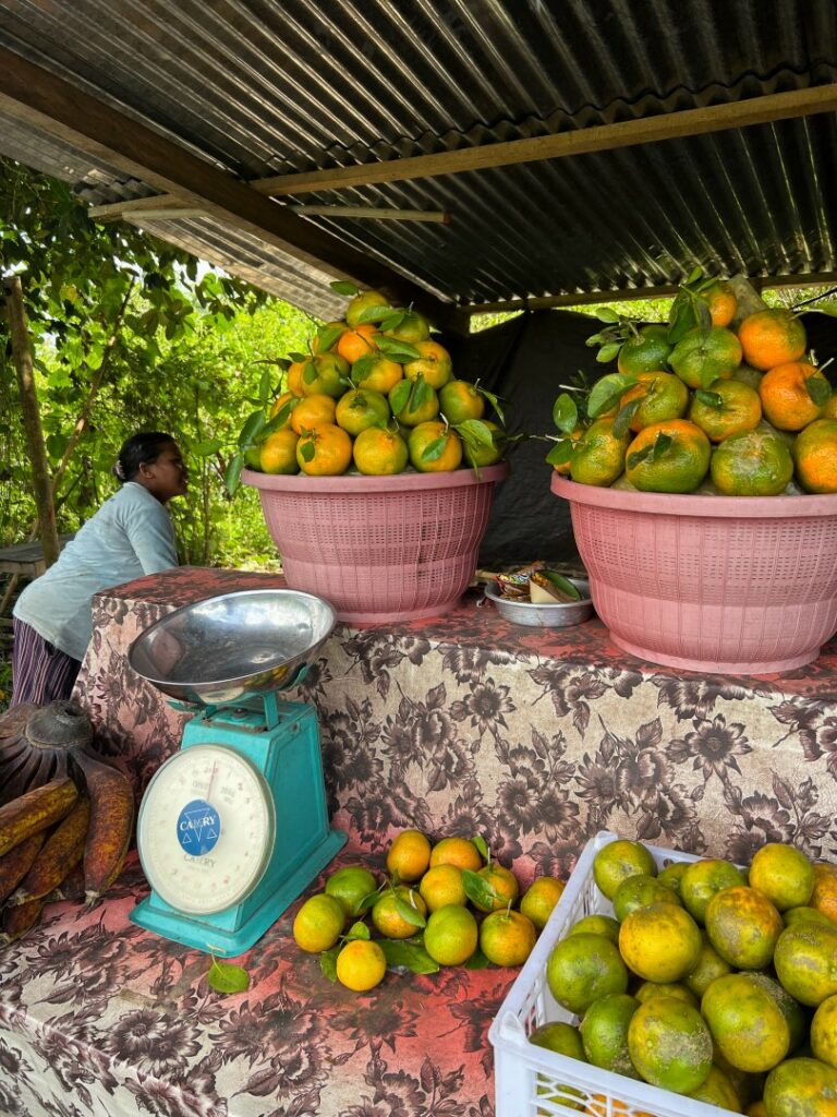 Bali natuur, Bali locals, Ubud fietstocht